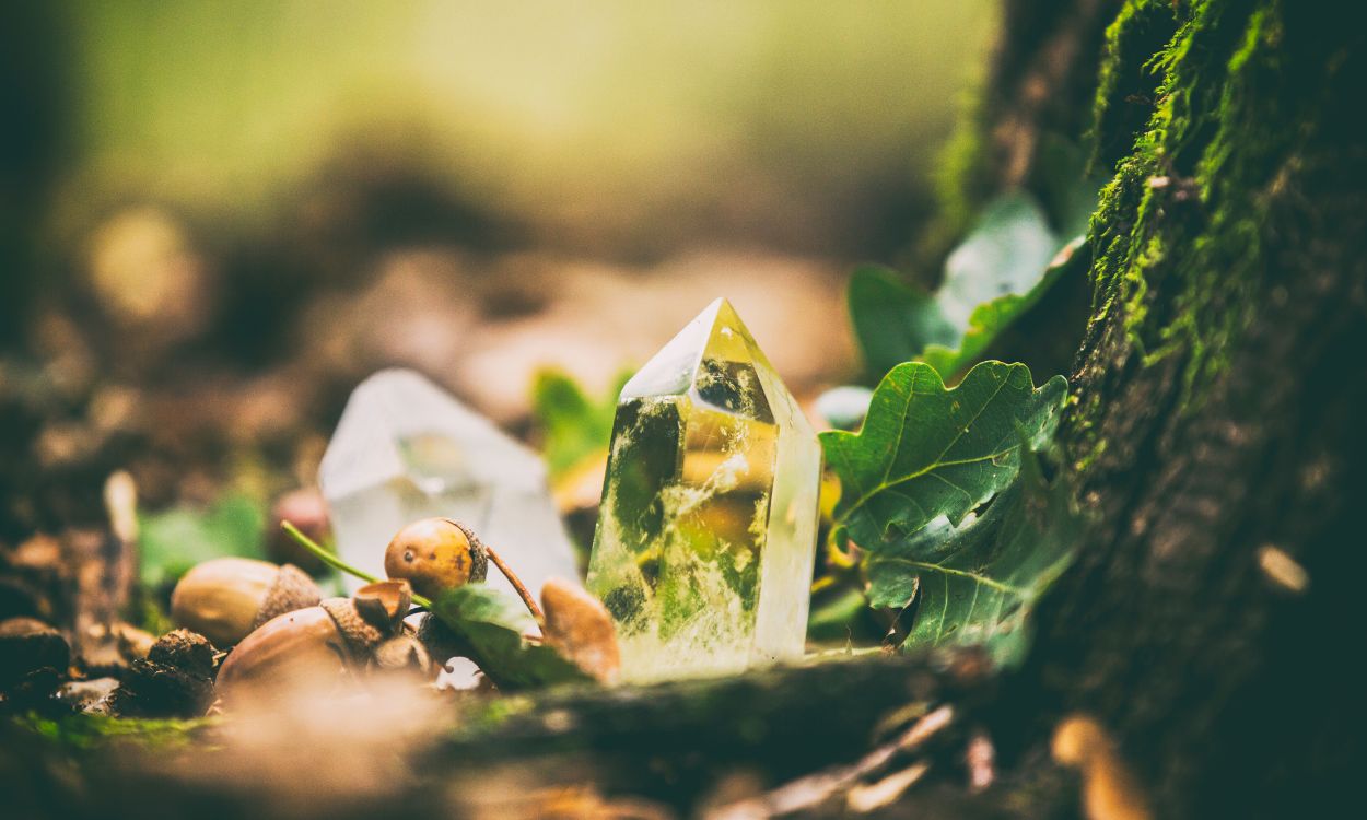 cleansing crystal in forest cleansing crystal in forest